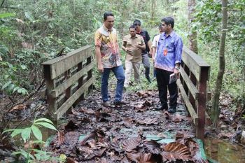 Pemkab Lamandau akan revitalisasi hutan kota
