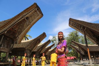 Tana Tana Toraja jadi konsep pengembangan desa wisata dan homestay