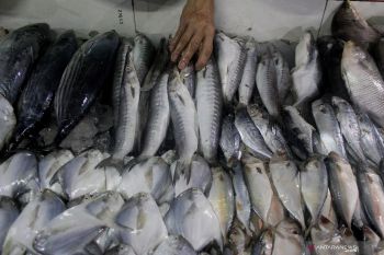 Pasokan ikan laut kurang