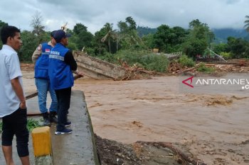 Walhi harap Gubernur Sulteng 2021-2026 berkomitmen lestarikan lingkungan
