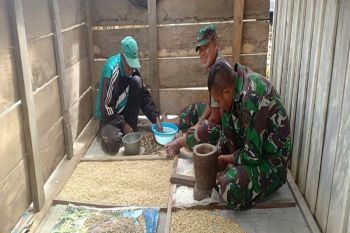 Yonif 725/WRG dan Koramil Okbibab latih warga Pegubin olah kopi
