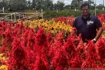 Erwin Ibrahim dinobatkan dosen luar biasa Unsri