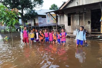 Sejumlah rumah dan sekolah di Desa Hanjalipan Kotim terendam banjir