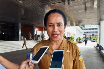 BLH Papua menargetkan revitalisasi lahan gambut di Merauke