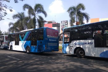 Transjakarta koridor 13 layani lima rute