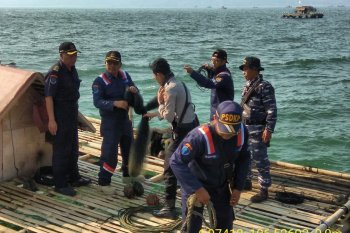 Kementerian Kelautan dan Perikanan tertibkan alat tangkap benih lobster