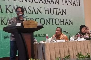 Walhi soroti penanggulangan kebakaran hutan dan lahan di Sumsel