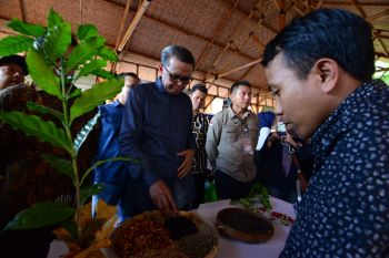 Gubernur apresiasi komunitas perkampungan kopi Sulsel di Kabupaten Gowa