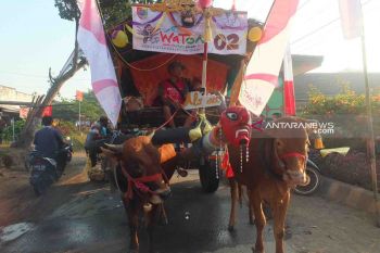 Watu Ulo Pegon Parade diharapkan dongkrak pariwisata Jember