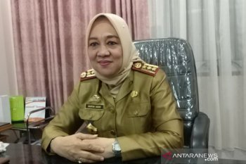 Dinas Kesehatan Makassar paparkan DHIS di Oslo University Norwegia