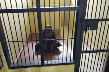 Provokator diduga penyebab penjarahan kios ditangkap di Papua