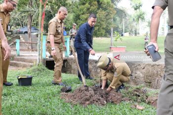 Bupati Waykanan tanam pohon Peringatan Hari Lingkungan Hidup Sedunia