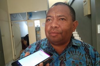 Dinkes Papua masih tunggu pemicu kematian 17 warga Bomela