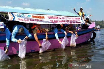 BKIPM melepas 1,2 juta ekor benih ikan di Waduk Sermo Kulon Progo (VIDEO)