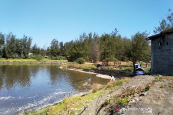 Kulon Progo mewacanakan keruk sedimen Laguna Trisik (VIDEO)