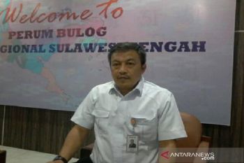 Bulog Sulteng jaga stabilisasi harga pangan