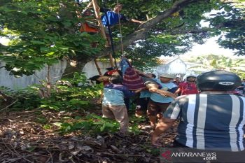Ketua Suporter Slemania tewas tersengat listrik saat pasang bendera "Chalistha"