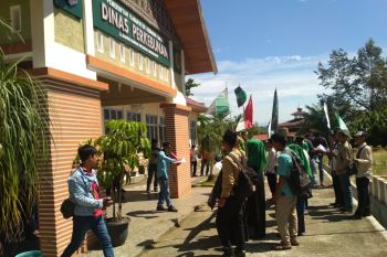 HMI Pasaman Barat tuntutkan naikan harga sawit