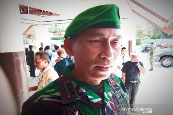 750 personel gabungan dilibatkan cegah karhutla di Kalteng