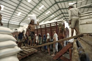 Mentan pastikan stok beras cukup sampai tahun depan