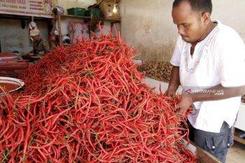 Harga cabai merah di Palembang capai Rp80.000/Kg