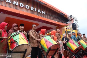 Ada lomba beruk memetik kelapa di Festival Gandoriah 2019