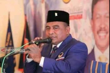 NasDem NTT andalkan survey usung calon kepala daerah