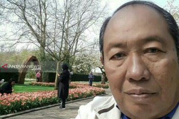 Pohon lindungi manusia dari polusi udara