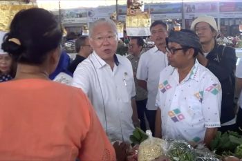 Harga bahan pokok nasional aman