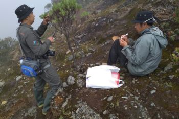 Pemanfatan mikroba Gunung Cermai dukung pertanian sehat