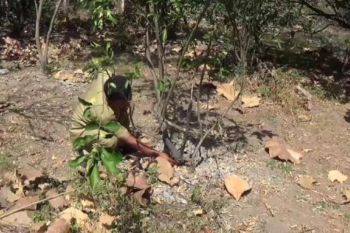 Lahan pertanian terdampak kekeringan di Magetan meluas