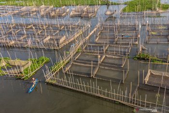 Pengamat Unsoed ingatkan pentingnya sektor maritim dikembangkan