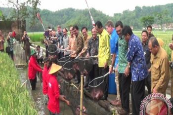 Sleman menyelenggarakan Pekan Daerah Kontak Tani Nelayan Andalan 2019