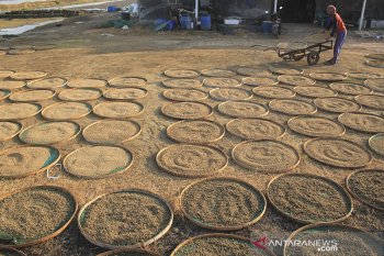 Produksi pakan ikan
