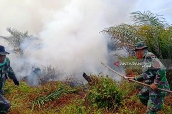 Kebakaran hutan di Nagan Raya Aceh kian meluas
