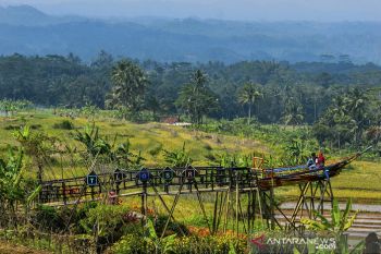 Ekowisata kampoeng sawah
