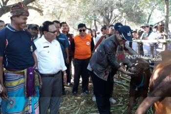 Bupati Kupang memberi apresiasi terhadap program Upsus SIWAB