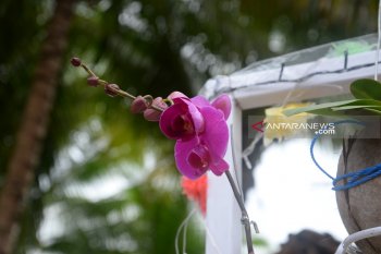 DPRD Gorontalo Utara dorong penataan pariwisata di  kecamatan