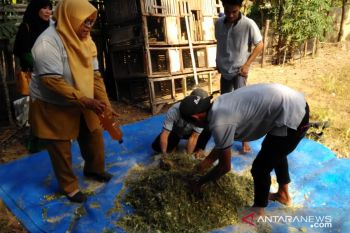 BI ajak warga Bima terapkan pertanian terintegrasi