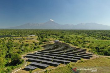 Tiga PLTS memperkuat sistem kelistrikan Lombok