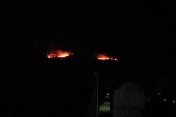 Delapan hektare hutan di Aceh Besar terbakar