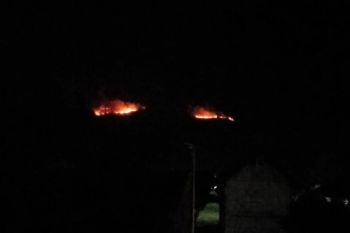 8 hektare hutan hangus terbakar di Aceh Besar