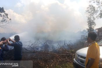 Kebakaran lahan terjadi di belakang Kantor DPRD  Banyuasin