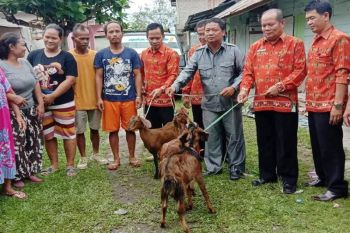 Ribuan bibit ternak disalurkan untuk masyarakat Gunung Mas