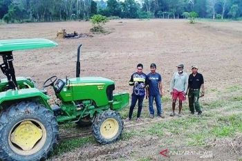 Pemkab Gunung Mas siapkan 31 poktan tingkatkan produksi jagung