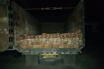 Polres Barut tangkap sopir truk pengangkut kayu ulin ilegal