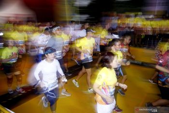 Dumai Energy Run 10 K Pertamina sumbang Rp66 juta untuk penghijauan