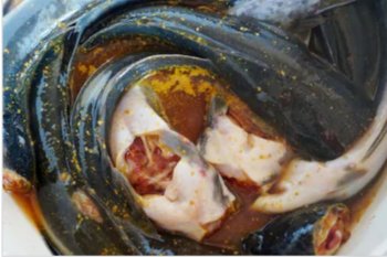 Jangan beli yang sudah mati agar hidangan lele jadi lezat