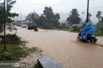 Jalan Padang-Bengkulu tergenang air