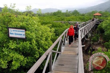 Menteri LHK :Pelestarian hutan mangrove stabilkan kondisi lingkungan